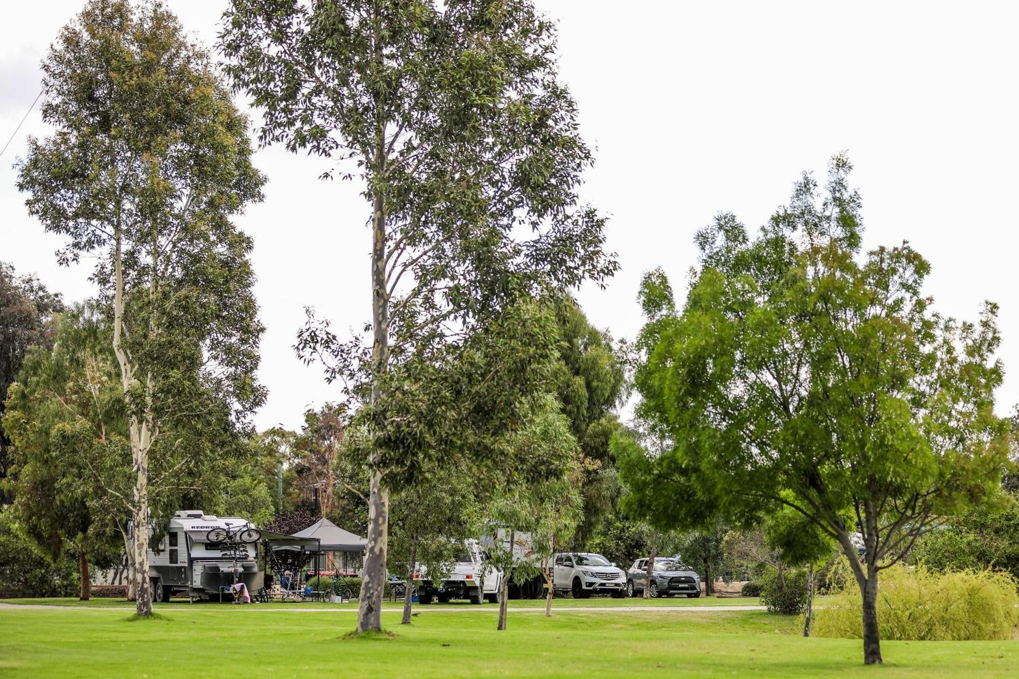 Discovery Parks - Moama Waters Екстериор снимка