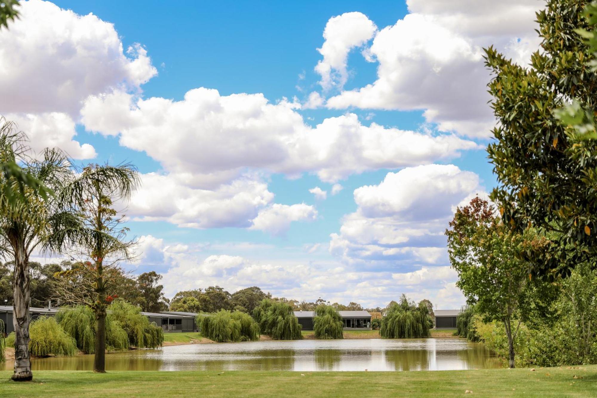 Discovery Parks - Moama Waters Екстериор снимка
